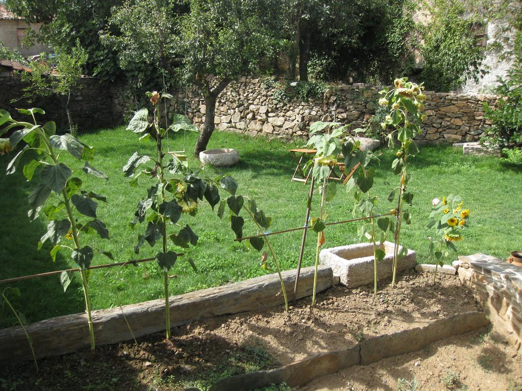 Candeias Do Souto Bragança Εξωτερικό φωτογραφία